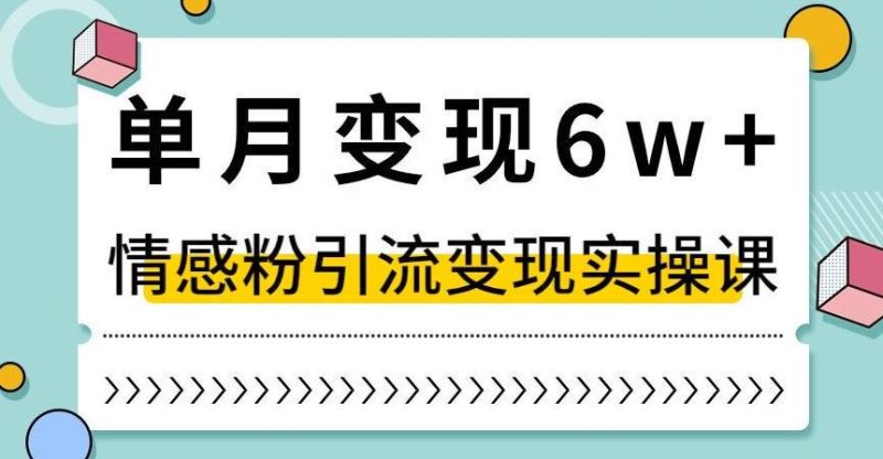 抖音情感粉引流变现实操课-技研社