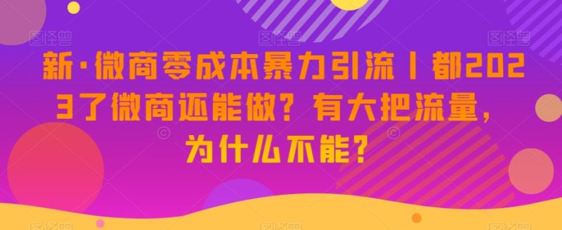 新版微商0成本暴力引流:都2023了微商还能做?有大把流量,为什么不能?-技研社