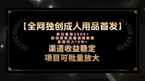 最新全网独创首发,成人用品赛道引流获客,月入10w保姆级教程 - 技研社-技研社
