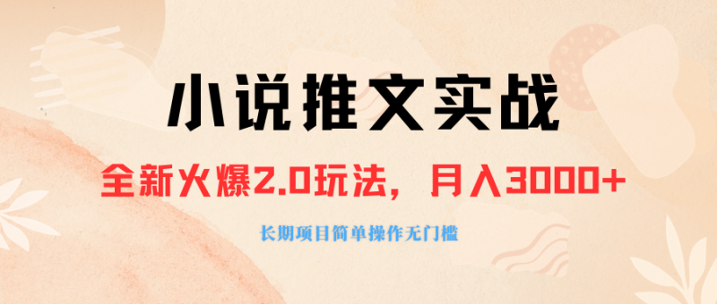 外面收费990的小说推广软件,零粉丝可变现,月入3000+,小白当天即上手 - 技研社-技研社