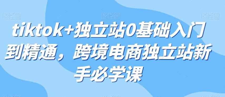TIKTOK 独立站0基础入门到精通,跨境电商独立站新手必学课 TIKTOK 独立站0基础入门到精通,跨境电商独立站新手必学课