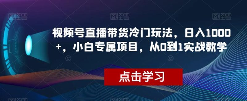 视频号直播带货冷门玩法，日入1000+，小白专属项目，从0到1实战教学【揭秘】 - 技研社-技研社