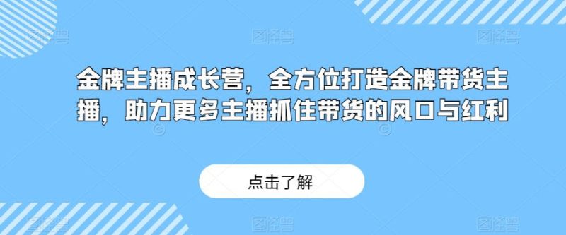 金牌主播成长营：打造带货高手，紧跟直播带货风口（29节课） - 技研社-技研社
