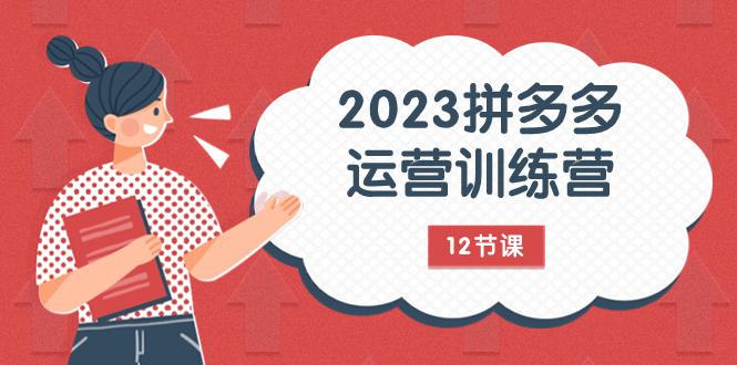 2023年拼多多运营攻略-技研社