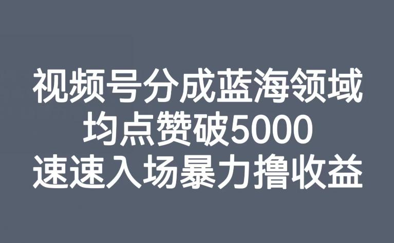 视频号分成蓝海领域,均点赞破5000,速速入场暴力撸收益 视频号分成蓝海领域,均点赞破5000,速速入场暴力撸收益