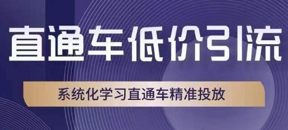 直通车低价引流教程,系统化学习直通车精准投放 直通车低价引流教程,系统化学习直通车精准投放