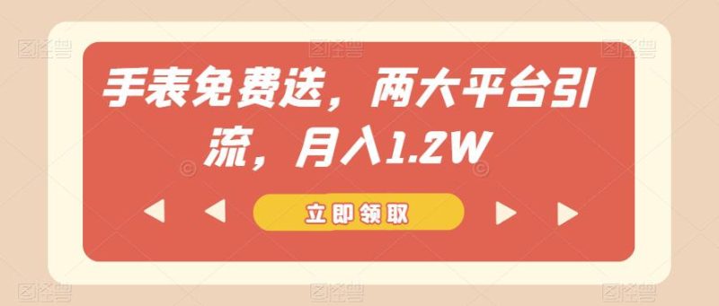 手表免费送,两大平台引流,月入1.2W【揭秘】 - 技研社-技研社