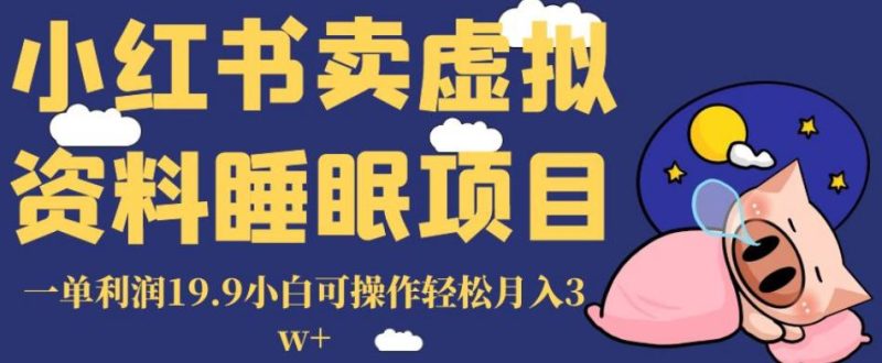 小红书卖虚拟资料睡眠项目,一单利润19.9小白可操作轻松月入3W+【揭秘】 - 技研社-技研社