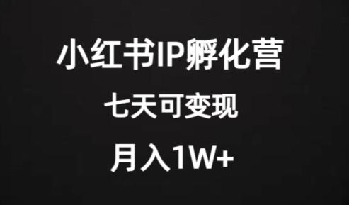 价值2000+的小红书IP孵化营项目，超级大蓝海，七天即可开始变现，稳定月入1W+ - 技研社-技研社