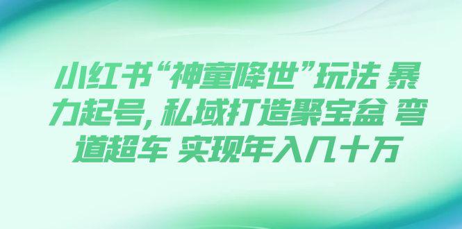 小红书“神童降世”玩法 暴力起号,私域打造聚宝盆 弯道超车 实现年入几十万 小红书“神童降世”玩法 暴力起号,私域打造聚宝盆 弯道超车 实现年入几十万