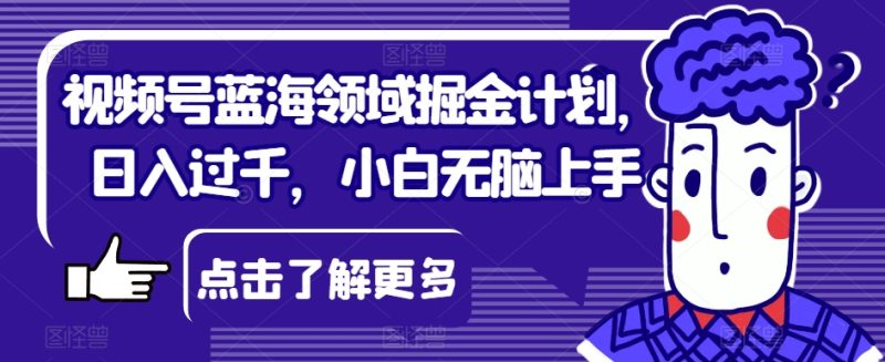 视频号蓝海领域掘金计划,小白轻松上手,日入过千! - 技研社-技研社