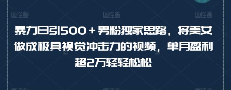 男粉独家思路：极具视觉冲击力的美女视频变现，单月盈利超2万轻松达成【揭秘】 - 技研社-技研社