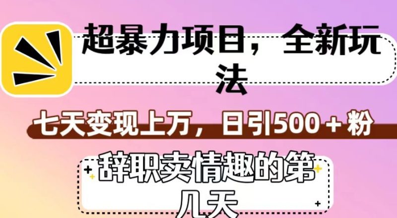 超暴利项目，全新玩法（辞职卖情趣的第几天），七天变现上万，日引500+粉【揭秘】 - 技研社-技研社