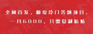 全网首发，极度冷门答题项目，一月6000，只需复制粘贴【揭秘】 - 技研社-技研社