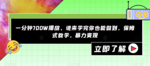 一分钟700W播放，进来学完你也能做到，保姆式教学，暴力变现【揭秘】 - 技研社-技研社