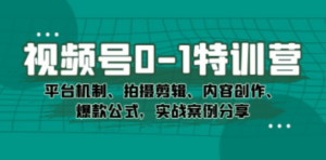 视频号0-1特训营：平台机制、拍摄剪辑、内容创作、爆款公式，实战案例分享 - 技研社-技研社