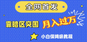 全网首发：靠暗区突围，月入过万-技研社