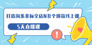 打造-淘系-非标全店N多个爆款线上课，5天直播课（19期） - 技研社-技研社