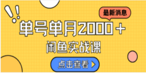 咸鱼虚拟资料新模式，月入2w＋，可批量复制，单号一天50-60没问题 多号多撸 - 技研社-技研社