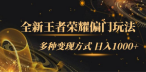 全新王者荣耀偏门玩法,多种变现方式 日入1000+小白闭眼入(附1000G教材) - 技研社-技研社