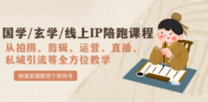 国学/玄学/线上IP陪跑课程,从0-1全方位教学,快速发展数百个矩阵号 - 技研社-技研社