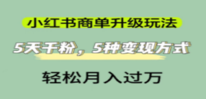 小红书商单升级玩法-技研社