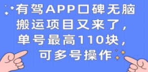 有驾APP口碑无脑搬运项目又来了，单号最高110块，可多号操作 - 技研社-技研社