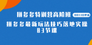 2023拼多多·特训营高阶班【9月13日更新】拼多多最新玩法技巧落地实操-83节 - 技研社-技研社