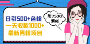 日引500+色粉,一天收款1000+九月份最新男粉项目(附753G素材) - 技研社-技研社