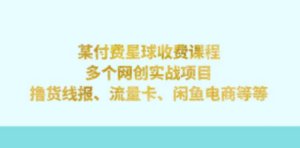 某付费星球课程：多个网创实战项目，撸货线报、流量卡、闲鱼电商等等 - 技研社-技研社