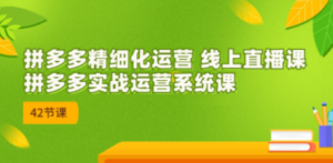 2023年8月新课-拼多多精细化运营 线上直播课：拼多多实战运营系统课-42节 - 技研社-技研社