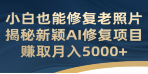 小白也能修复老照片！揭秘新颖AI修复项目，赚取月入5000+ - 技研社-技研社