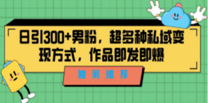 独家推荐!日引300+男粉,超多种私域变现方式,作品即发即报 - 技研社-技研社