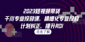 2023短视频带货-千川专业投放课，精细化专业投放，计划纠正，提升ROI - 技研社-技研社