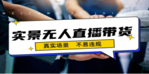 日入500+的实景无人直播带货最新玩法-技研社