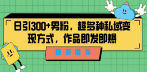 独家推荐！日引300+男粉，超多种私域变现方式，作品即发即报 - 技研社-技研社