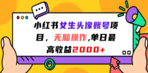 小红书女生头像账号项目,无脑操作“”单日最高收益2000+ - 技研社-技研社