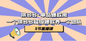 拼多多:单品爆款班,一个拼多多超级爆款养一个团队-技研社