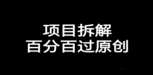 项目拆解百分百过原创，解决项目拆解赛道难过原创的问题 - 技研社-技研社