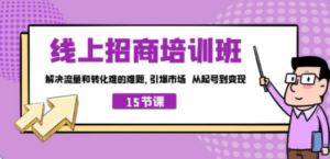 线上·招商培训班，解决流量和转化难的难题 引爆市场 从起号到变现（15节） - 技研社-技研社