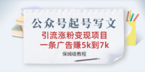 公众号起号写文、引流涨粉变现项目，一条广告赚5k到7k，保姆级教程 - 技研社-技研社