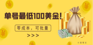 单号最低100美金，零成本，小白无脑操作。可复制，可扩大 - 技研社-技研社