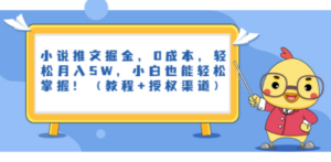 小说推文掘金，0成本，轻松月入5W，小白也能轻松掌握！（教程+授权渠道） - 技研社-技研社