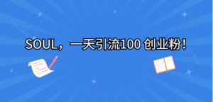 SOUL,一天引流100 创业粉 - 技研社-技研社