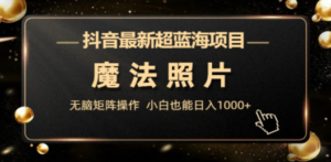 抖音最新超蓝海项目，魔法照片，无脑矩阵操作，小白也能日入1000+ - 技研社-技研社