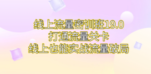 线上流量密训班19.0，打通流量关卡，线上也能实战流量破局 - 技研社-技研社