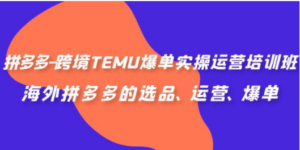 拼多多-跨境TEMU爆单实操运营培训班，海外拼多多的选品、运营、爆单 - 技研社-技研社