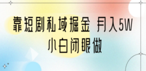 靠短剧私域掘金 月入5W 小白闭眼做（教程+2T资料） - 技研社-技研社