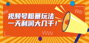 视频号粗暴玩法，一天利润大几千！ - 技研社-技研社