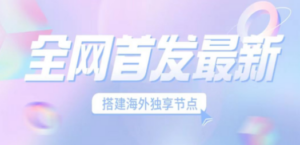全网首发最新海外节点搭建,独享梯子安全稳定运营海外短视频,日入1000+ - 技研社-技研社